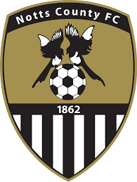 https://img.directimm.com/img/football/team/9e230c89a846b9cadf91884918fa7611.png